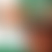 1349414323 1507706862885 1540729848 1246657 6745632 a