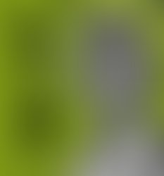 1349529932 10151418457495461 1726933570 n