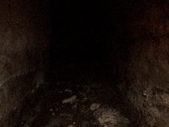 Image for cadaverine