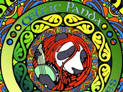 Image for Celtic Panda