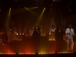 The Freedom Warriors