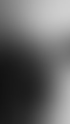 Hofner rocker moment