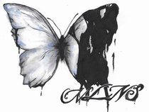 No Love No Sacrifice