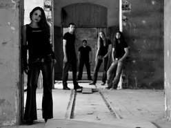 Image for Black Daffodils