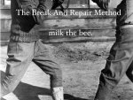 Image for The Break and Repair Method