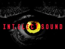 Int.Elect.Sound