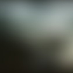 Artist 2896880 1557628027