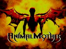 Animal Mother