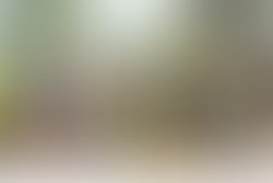 Displace   sobokeh exports 62