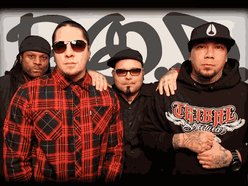 Image for P.O.D.
