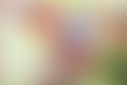 Artist 2907460 1633405232