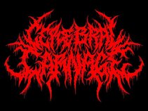 cerebral carnage