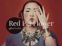 RED PIG FLOWER