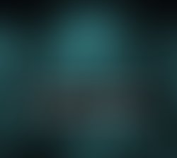 1351161295 fg tmttd cover 01 01