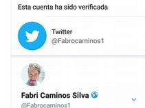Fabri Caminos Silva