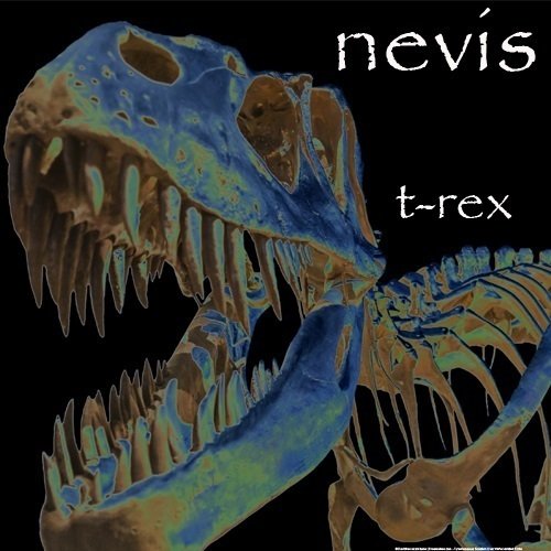 ReverbNation profile picture for @nevis