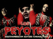 Los Peyotes
