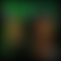 Artist 2930393 1511732348