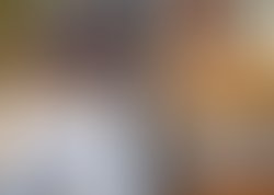 1351818236 248640745729 3690602 n