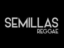 Semillas Reggae