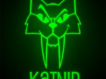 Katnip