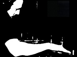Image for Rex DaSteppa