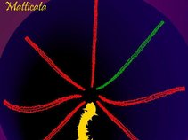 Matticata