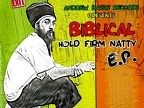 Biblical Roots Reggae