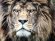 Majestic Dub Kru (Artist)