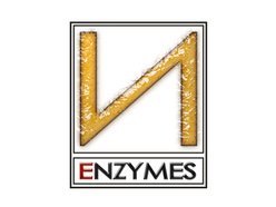 ReverbNation profile picture for @enzymes