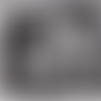 162642558 113339744120363 729334781979333524 n