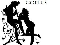 Coitus