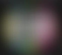 Screen shot 2017 05 07 at 2 44 35 pm