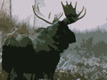 The Blue Temple Lions