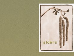 Image for Alders