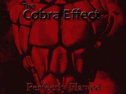 Image for The Cobra Effect