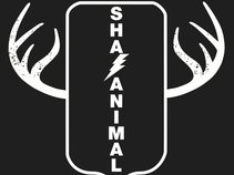 Shazanimal