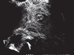 Image for Pets with Human Names
