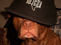 Dj Texas Butcha
