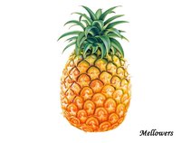 Mellowers