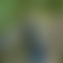 28a539d15248d51fe485aaf2b7cc1c57016633be