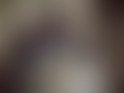 1354422722 l c5ef0c000f180a7086ecf1a300fd5bd8