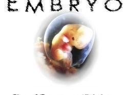ReverbNation profile picture for @embryo