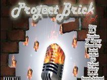 projectbrick ent 2013