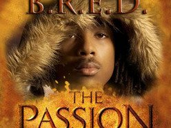 ReverbNation profile picture for @bred