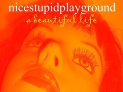 Nicestupidplayground (Nsp)