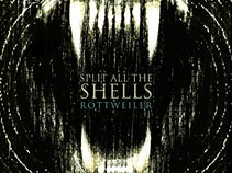 Split All The Shells