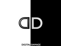 Digital Damage