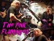 The Pink Flamingos