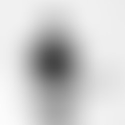 Artist 2975962 1635243138